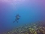 Hawaii Scuba divng 22