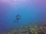 Hawaii Scuba divng 22