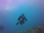 Hawaii Scuba divng 23