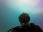 Hawaii Scuba divng 24