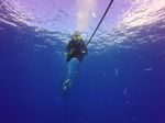 Hawaii Scuba divng 02