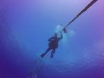 Hawaii Scuba divng 05