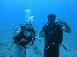 Hawaii Scuba divng 15