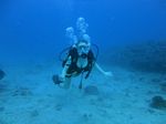 Hawaii Scuba divng 17