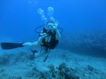 Hawaii Scuba divng 18