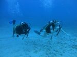 Hawaii Scuba divng 20