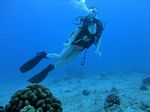 Hawaii Scuba divng 21