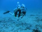 Hawaii Scuba divng 23