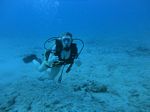 Hawaii Scuba divng 24