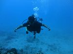 Hawaii Scuba divng 25