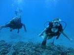 Hawaii Scuba divng 26