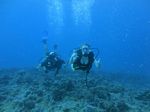 Hawaii Scuba divng 27