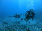 Hawaii Scuba divng 30