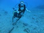 Hawaii Scuba divng 31