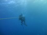 Hawaii Scuba divng 33