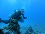 Hawaii Scuba divng 36