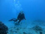 Hawaii Scuba divng 42