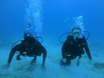 Hawaii Scuba divng 48