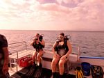 Hawaii Scuba divng 04