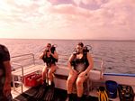 Hawaii Scuba divng 04