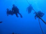 Hawaii Scuba divng 15