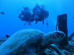 Hawaii Scuba divng 22