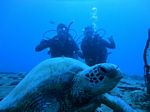 Hawaii Scuba divng 24