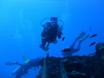 Hawaii Scuba divng 26