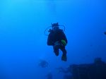 Hawaii Scuba divng 27