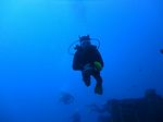 Hawaii Scuba divng 27