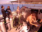 Hawaii Scuba divng 39