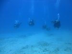 Hawaii Scuba divng 56