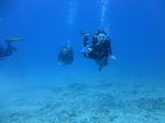 Hawaii Scuba divng 57