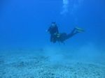 Hawaii Scuba divng 58