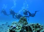 Hawaii Scuba divng 59