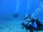 Hawaii Scuba divng 60