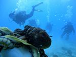 Hawaii Scuba divng 67