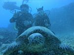 Hawaii Scuba divng 82