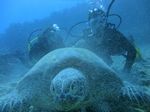 Hawaii Scuba divng 85