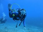 Hawaii Scuba divng 87