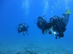 Hawaii Scuba divng 89