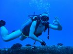 Hawaii Scuba divng 14