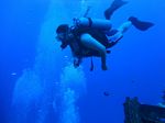 Hawaii Scuba divng 15