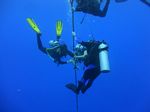 Hawaii Scuba divng 24