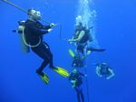 Hawaii Scuba divng 26