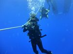 Hawaii Scuba divng 02