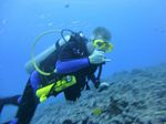 Hawaii Scuba divng 38