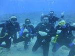 Hawaii Scuba divng 39