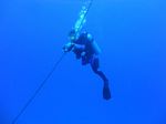 Hawaii Scuba divng 03