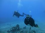 Hawaii Scuba divng 44